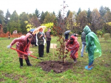 Дендрологический сад. Волонтеры национального парка помогают гостям высаживать привезенные деревья.