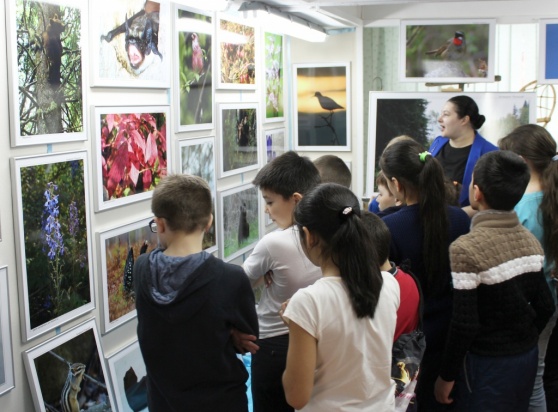 В Лянторе состоялось открытие фотовыставки «Обитатели заповедных далей»  