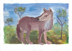 Красный волк. Беленькая Ева, 9 лет. Сургут