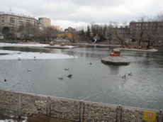 Рядом с площадкой, где проводилось мероприятие - озеро с водоплавающими птицами.