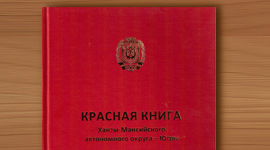 Красная книга Ханты-Мансийского автономного округа - Югры. 2013 год.