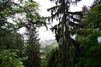 Тропа в кронах деревьев. Баварский Лес.jpg
