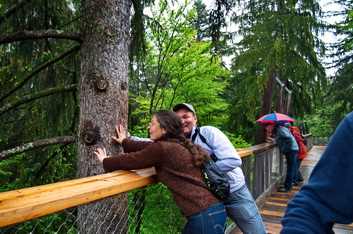 Раскачать дерево! Баварский Лес.jpg